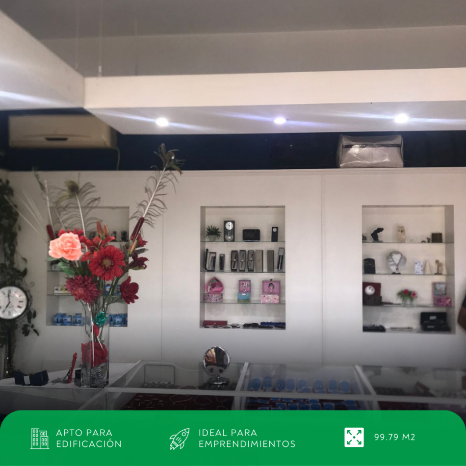 Local Comercial en Venta: Excelente Oportunidad en Calle Mitre 1227